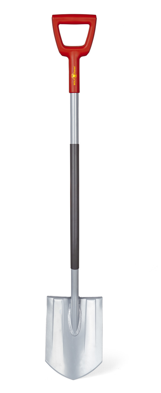 ASP-D RÝČ ŠPIČATÝ